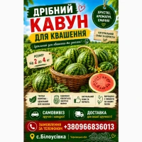 Продам кавун