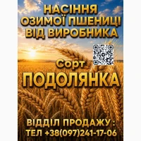 Продам елітне насіння (озимої) пшениці Подолянка 2026 року