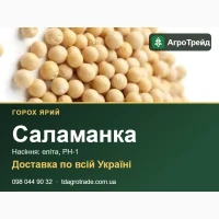 Ярий горох Саламанка: насіння для посіву, від 24 600 грн/т