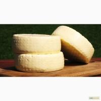 Продам авторские сыры из свежего фермерского коровьего молока