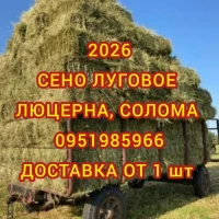Люцерна, луговое сено, солома в тюках мешках. Доставка. Объёмы