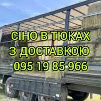 СЕНО в тюках. Большие объёмы. Луговое, люцерна, солома в тюках с доставкой