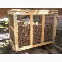 Виноградная улитка HELIX POMATIA своя