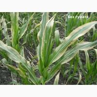 Гумат калия, Концентрат-1л. на 300л воды! Стимулятор роста