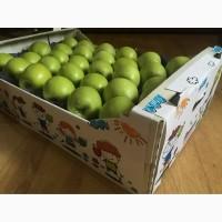 Продам яблока зимних сортов