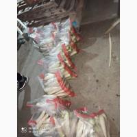 Продам оптом огурец, буряк, капуста