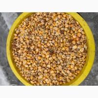 Продамо кукурудзу