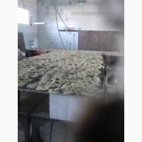 Продам цвет бузины, корень чистотела, подорожник, цвет липы.все сушоное