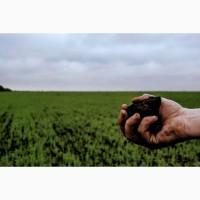 Продаж агропідприємства