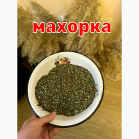 Махорка, пахучая, домашняя