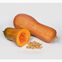 Продам гарбуз - арабатський плоди від 0, 5 кг -15 кг