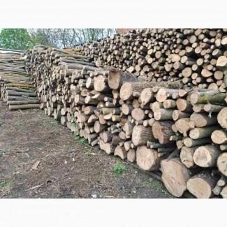 Продам дрова твердих порід