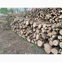 Продам дрова твердих порід