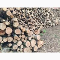 Продам дрова твердих порід