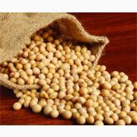 Куплю ГМО Сою По Україні