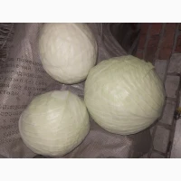 Продам капусту без шкідників. Можлива доставка в м. Суми