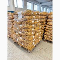 Продам картоплю. Опт від 20т