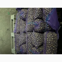 Продам картоплю