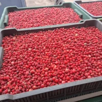 Продам журавлину морожену