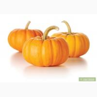 Продам тыкву