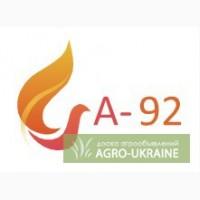 Бензин А-92 (Шебель)