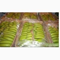 Бананы оптом от 11 грн за кг