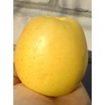 Саженцы и декоративные кусты
