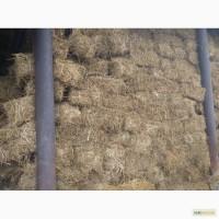 Продам сено люцерны