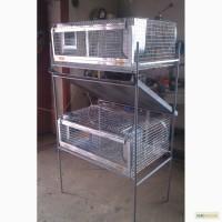 Продам клітки для кролів