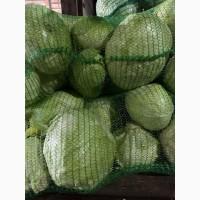 Продам капусту від постачальника з 10 тонн