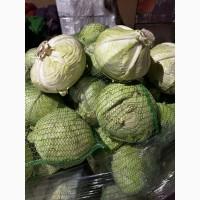 Продам капусту від постачальника з 10 тонн