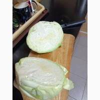 Продам капусту від постачальника з 10 тонн