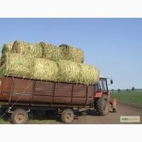 Продам СІНО лугове тюковане