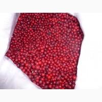 Продам клюква (Журавлина) Свежая