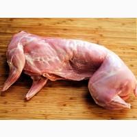 Продам тушки кролика 140грн/кг