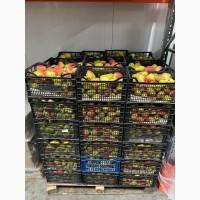 Продам Грушу Киргизка Опт