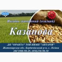 Насіння озимого ячменю Казанова (СН, перша)