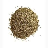 Льон, розторопша, гарбуз, кoнoпля, амарант, насіння на олію, семена лен, расторопша