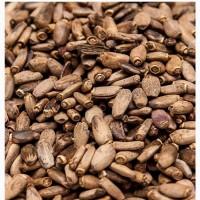 Льон, розторопша, гарбуз, кoнoпля, амарант, насіння на олію, семена лен, расторопша