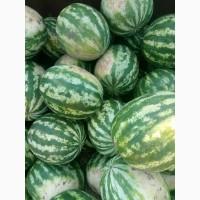 Продам арбузы от производителей и поставщиков. С 10 тонн