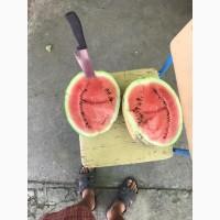 Продам арбузы от производителей и поставщиков. С 10 тонн