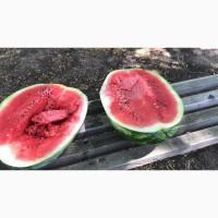 Продам арбузы от производителей и поставщиков. С 10 тонн