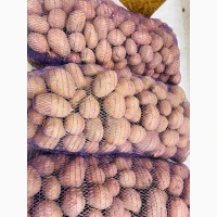 Картопля домашня, гарна якість