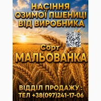 Продам елітне насіння (озимої) пшениці Мальованка 2026 року