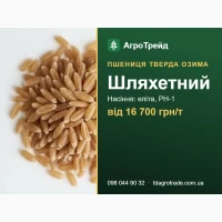 Пшениця тверда озима Шляхетний: сертифіковане насіння (СГІ, Одеса), від 16 700 грн/т