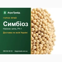 Ярий горох Симбіоз - еліта, РН-1, посівний матеріал