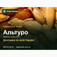 Купити насіння суданської трави Альтуро - еліта, РН-1