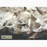 Куплю-продам пух-перо гусь,утка,б/у подушки,перины!!!!!!