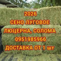 Сено в тюках мешках (луговое, разнотравье, пырей, люцерна), солома из зерновых. Доставка