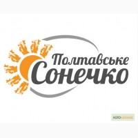 Продаж курячих яєць